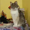 Отзыв от Эмма Демьянова